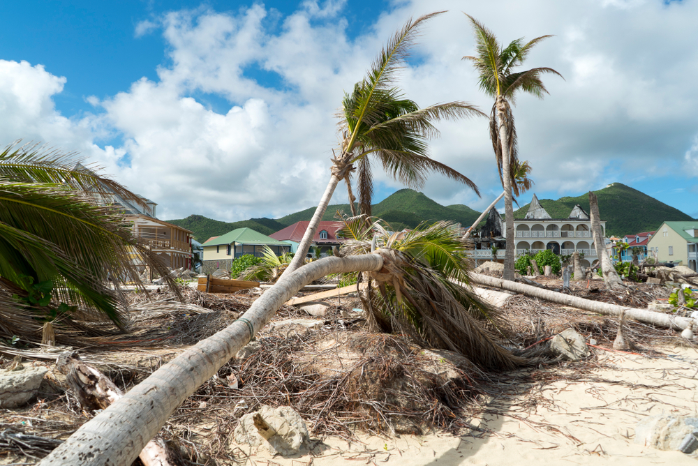 Tampa Hurricane Damage Lawyer Dolman Law Group